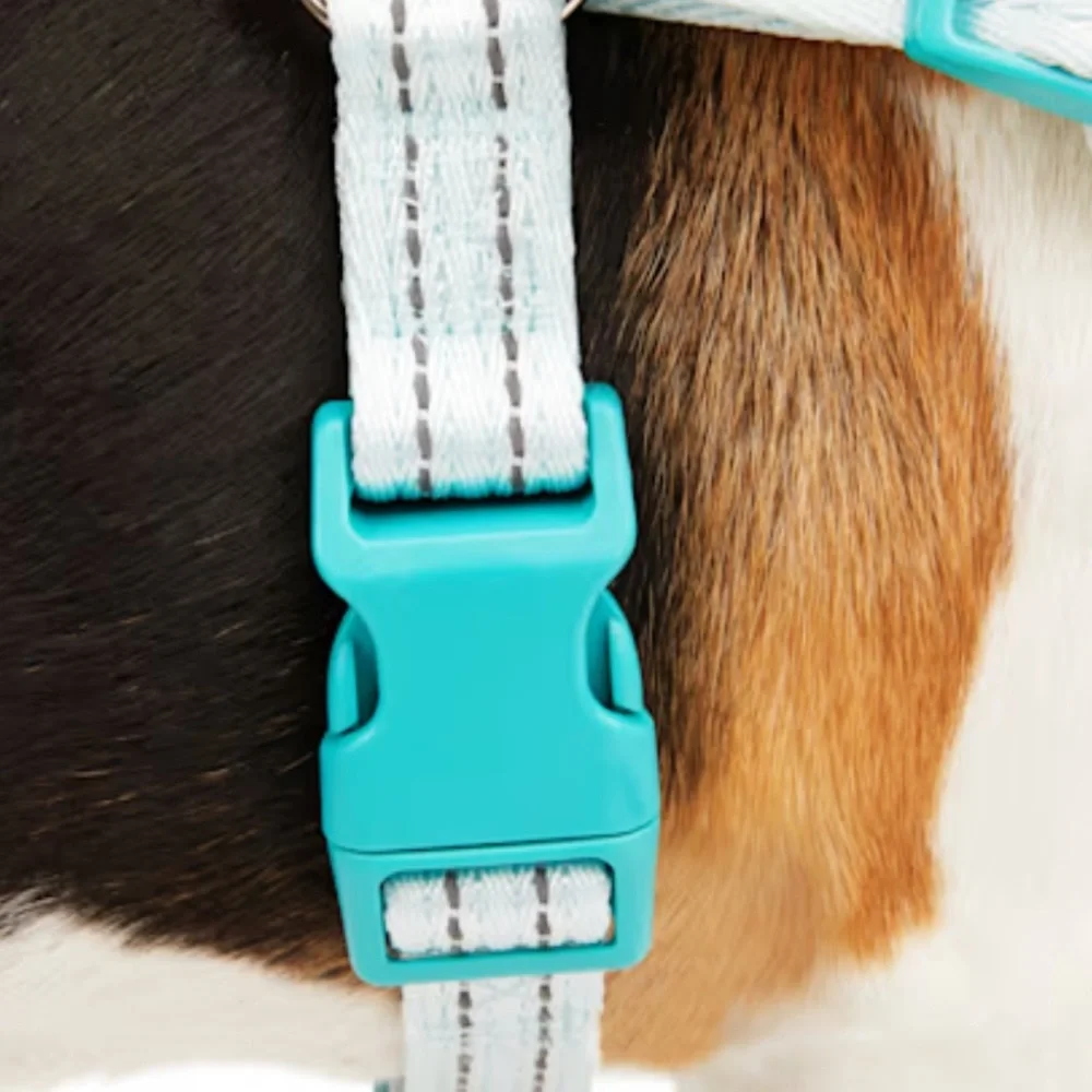 EveryYay Embrace the Pace Training Dog Harness Blue
